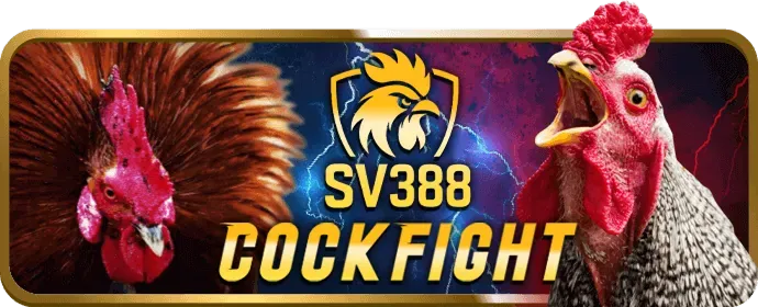 Hình ảnh chương trình VIP độc quyền với các ưu đãi đặc biệt tại 88m win